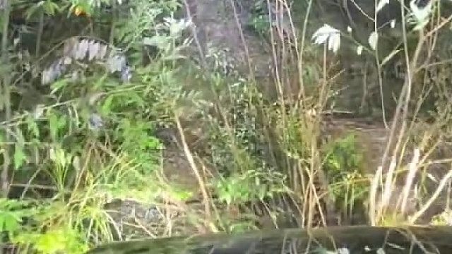 车到山前必有路不会错的！