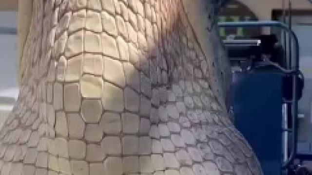 还以为是仰卧起坐，原来是引体向上