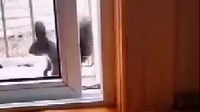 这只松鼠确实该补补脑了。。。