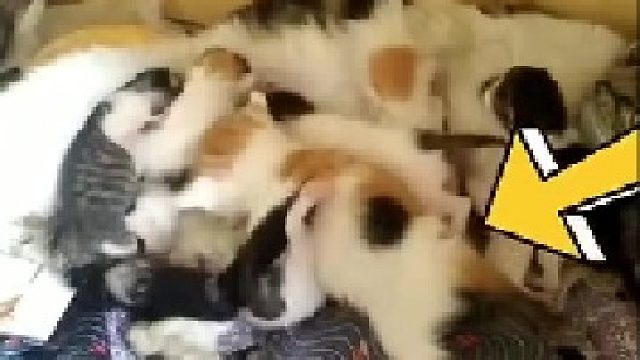 这只长这么快！