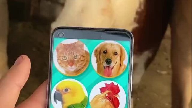 真的假的，有科学依据吗