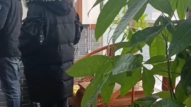 千古传承，博大精深 #中医 #提到你了