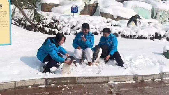 出来遛一圈不愿意回去了