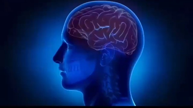 什么是植物神经紊乱