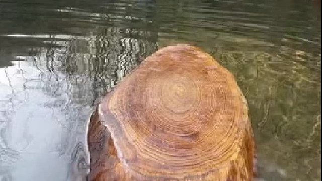 在野外做一份美食