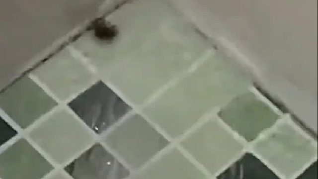 本来以为那是嘛玩意，结果伸出来一脚哈喇子掉下来了