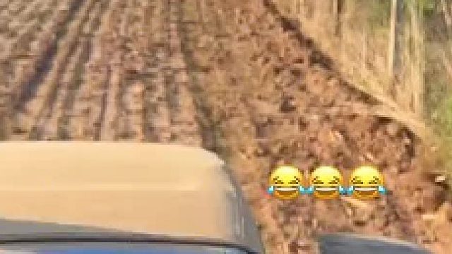 二师兄，原谅我不厚道的笑了