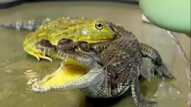 舒服舒服，真舒服