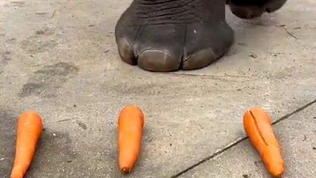 摧枯拉朽，碾压一切