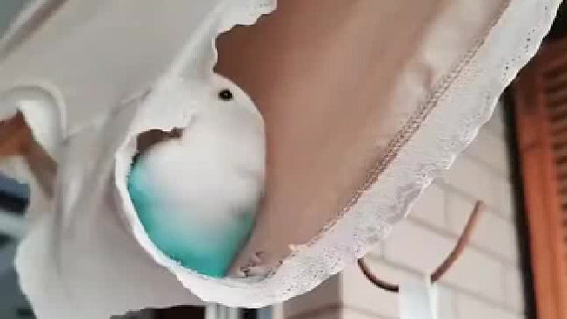 300买的，是不是买贵了？