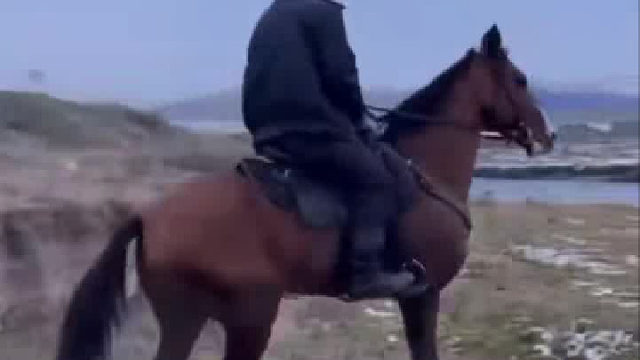 干的挺好，不是上去了吗