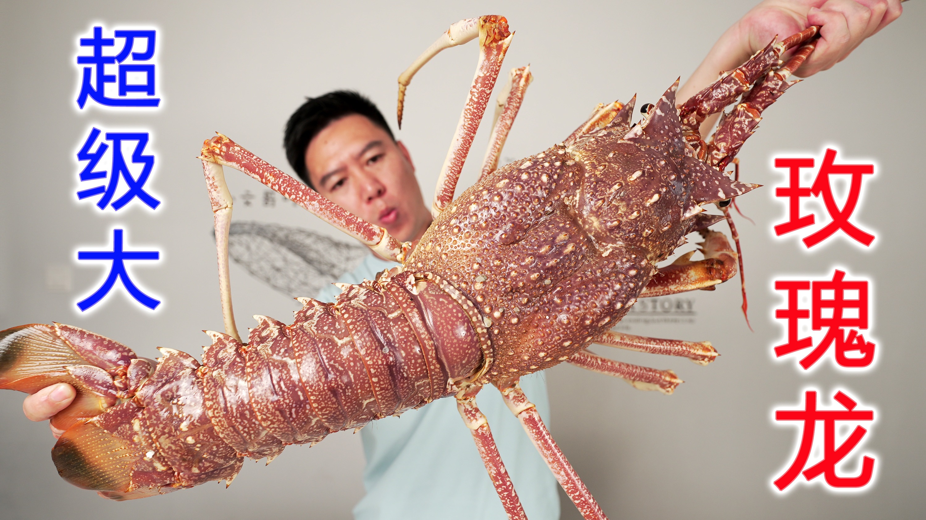 （下）3500买一只巨大玫瑰龙，天花板级别，出锅后把我惊到了