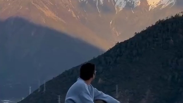 猫：好大的厕所