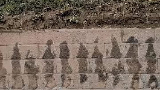 游客拍下伏羲陵墓雨后出现“神奇”一幕