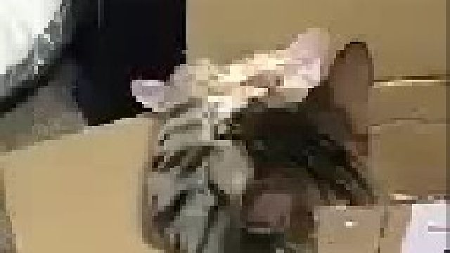 朕心已经死了，你在怎么舔也没用