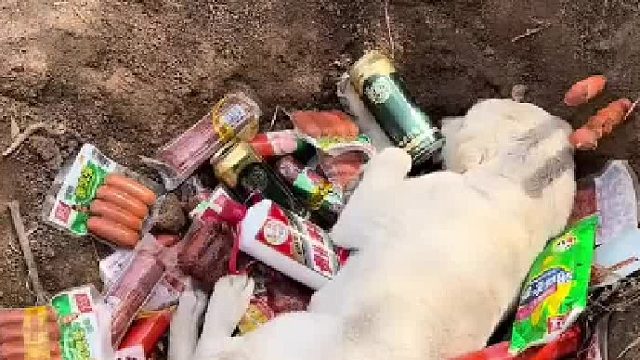 之前都没给你好吃过，一次全补上~