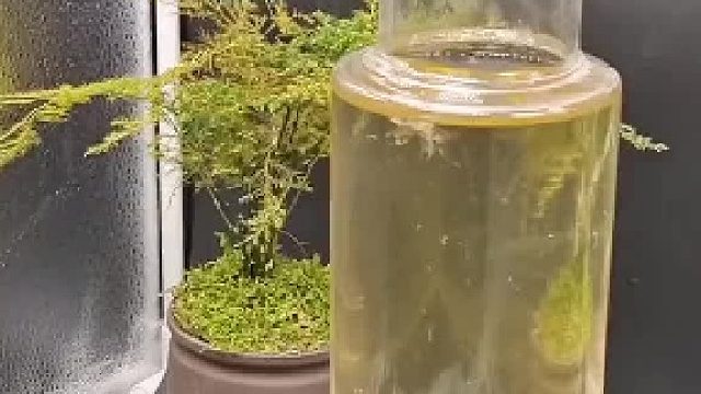 什么情况，一起说说吧