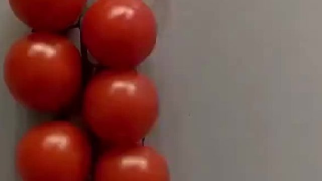 这画画的水平也太高了！