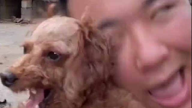 只要爱的贴贴，再凶的动物也不用怕