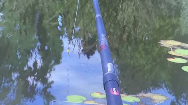 俄钓4新手村竟钓出30公斤大鱼