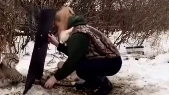 动物也知道感恩的