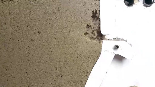 蚂蚁是这样建造巢穴的