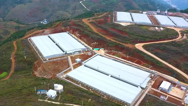 鲁甸-年出栏40万头生猪项目-项目介绍