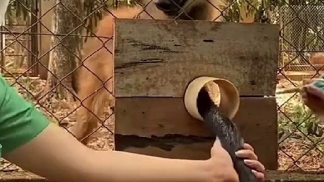 万物皆可训。作为生灵的主宰者的人类，不该不约束自己的行为。