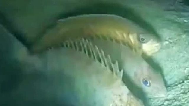 一家人就要整整齐齐