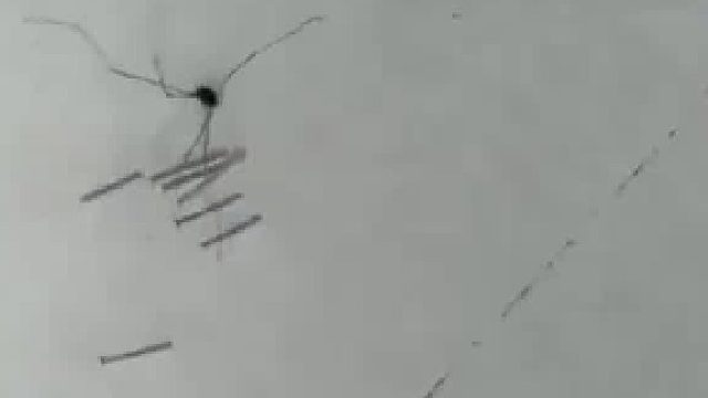 这都能躲得过去？它是不是学过凌波微步？