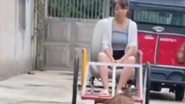 这是野猪呀！也就业上班了