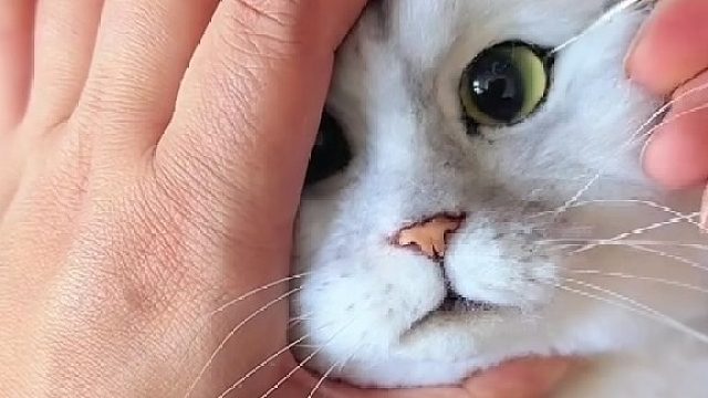 你怎么这…么……残……啊，原来是假的