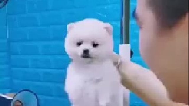 只要我转的够快，你就休想碰到我