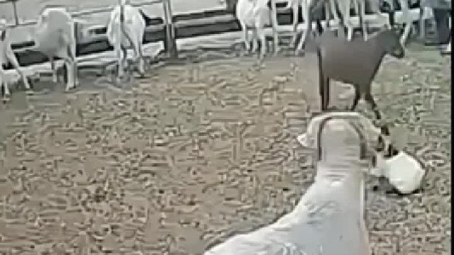 治疗各种腰间盘突出