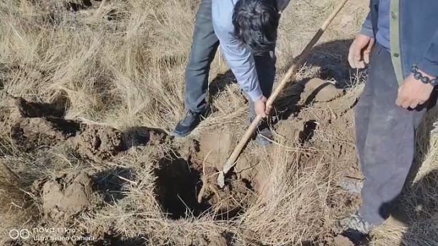 可惜了，挖断了