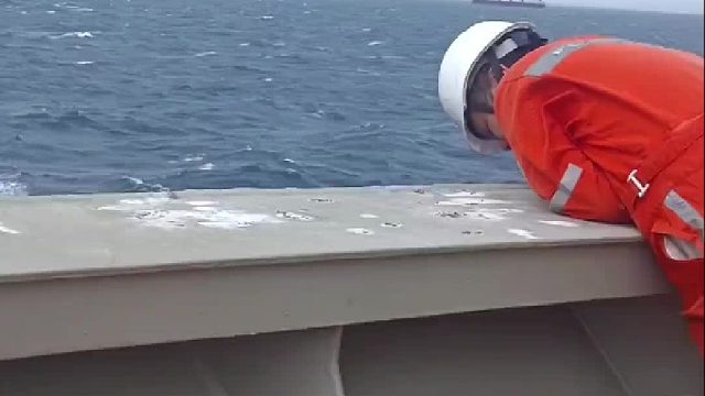 今天来了几位特别的朋友