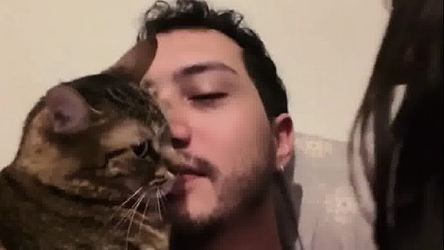 国外小哥养的猫咪超级粘人，就连女朋友也拿它无可奈何