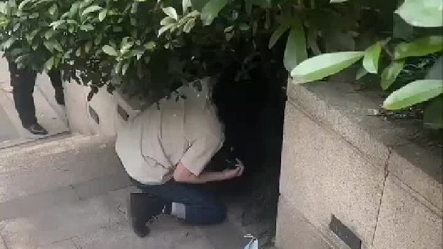 这婆娘真不错。