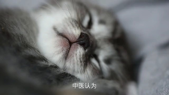 3以上状态#愿天下更健康更长寿