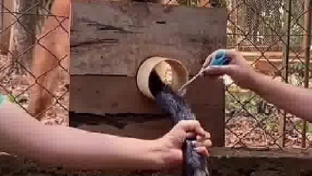 打针就有肉吃 这已经是他骨子里的记忆了