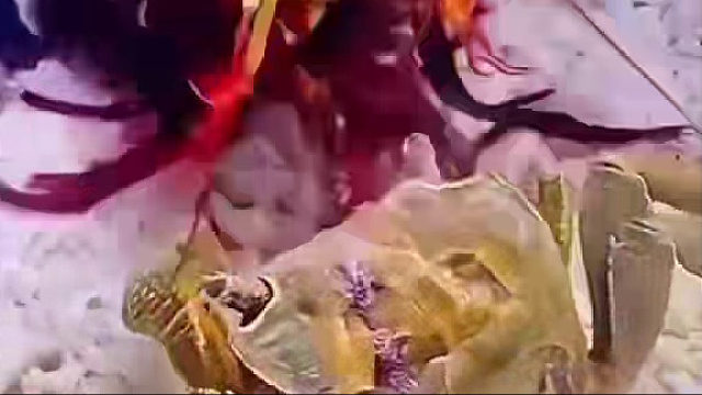 你这是攻其不备啊