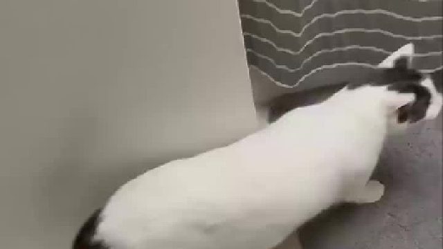 终于知道为什么水费那么高了