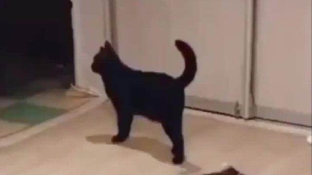 重量级干脆面，太凶猛了