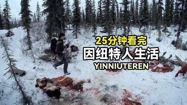 因纽特生活系列：寒冬狩猎驯鹿捕捉野兔，春季棒打鸭子采集野菜！