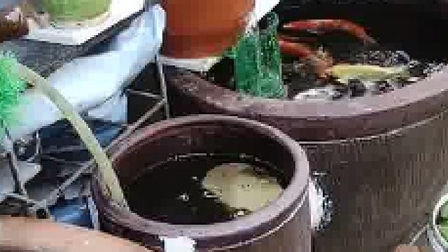 这鱼缸设计的真棒，所有的鱼都共享三个鱼缸……