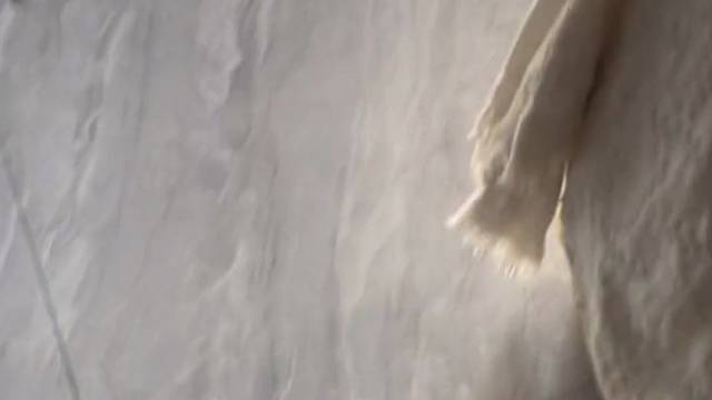 #被猫猫治愈的瞬间 …………………………