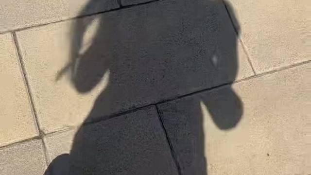 影子说