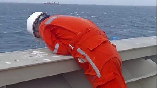 你知道跑船的时候海豹上船意味着什么