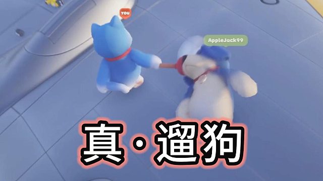 我好心好意带你出来遛，你怎么恩将仇报啊~