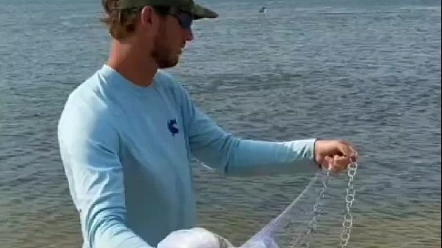 这一望下去感觉网到了鱼窝！